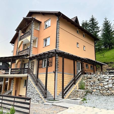 Pensiunea 3Flori De Colt Hotell Statiunea Exteriör bild