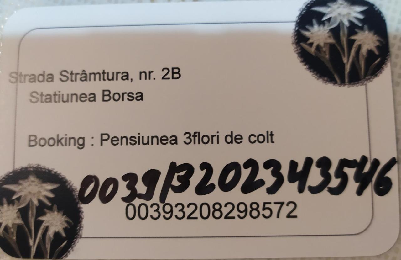 Pensiunea 3Flori De Colt Hotell Statiunea Exteriör bild